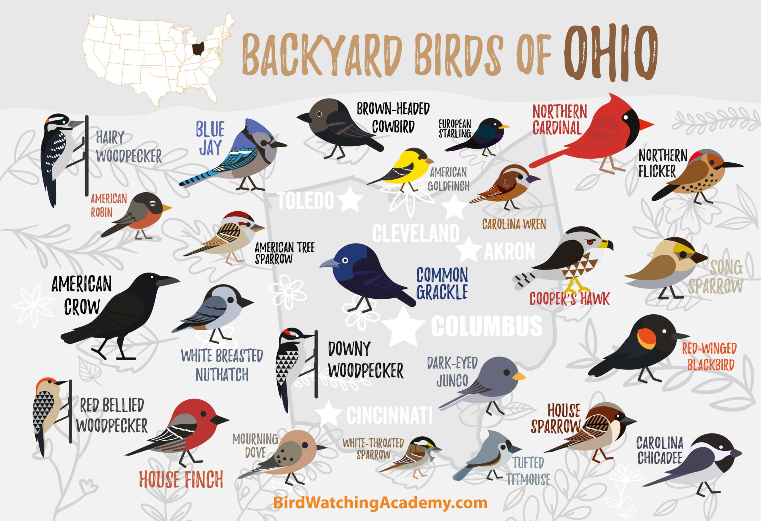 Northwestern Bird Calls