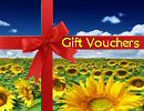 Online Vouchers