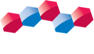 BISCO Dental