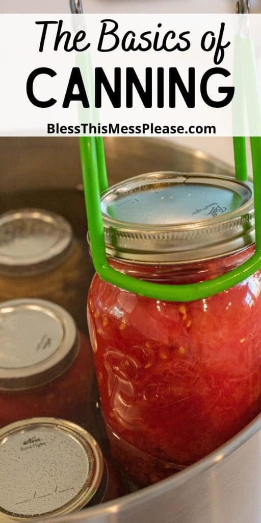 picture of jar being lifted out of pot with the words "the basics of canning" written at the top