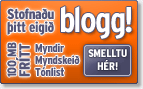 Stofna�u blogg