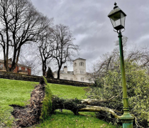 Uprooted tree in Avenham Park after Storm Eunice Pic: @sallyartyfarty