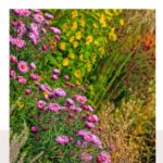 Fall jobs flower garden