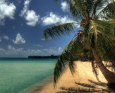 A beach meets the sea at Manta Ray Bay Resort in Yap, Micronesia.