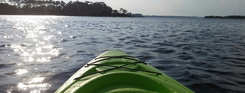 The view from a kayak outing in Cedar Point.