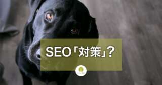 SEO対策は日本語としておかしい。意味ない