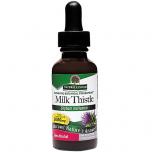 Milk Thistle