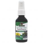 Sambucus Spray