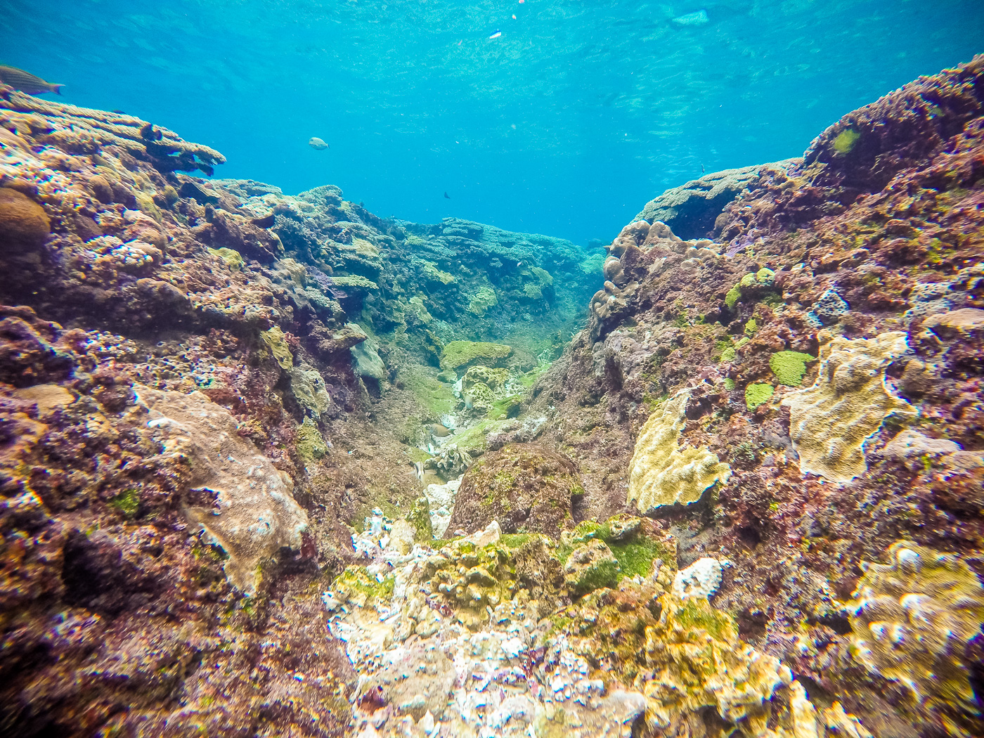 Nusa Lembongan Snorkeling