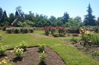 queen-elizabeth-park-rose-garden.jpg