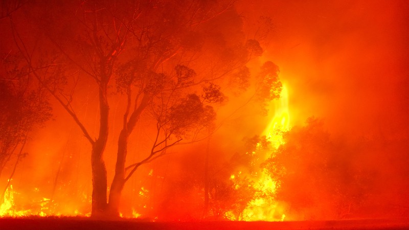 a forest fire at night. Image by Photosky. Noticing the increase in the number, severity, and consequences of forest fires, author Wesley Shennan researched the issue and was sobered by what he discovered.