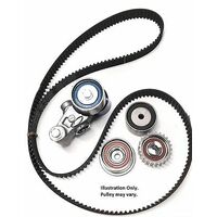 Timing Belt Kit (TBKIT009)