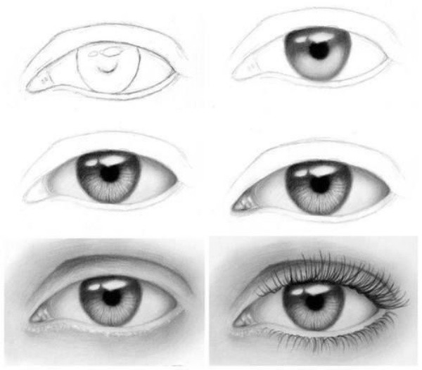 How To Draw A Realistic Eye Easy For Beginners : How To Draw Realistic ...