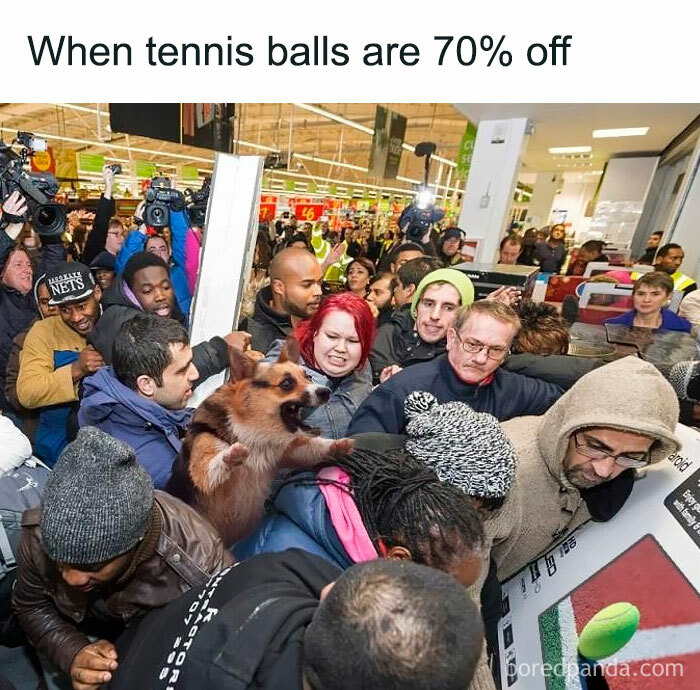 Black-Friday-Shopping-Madness-Memes