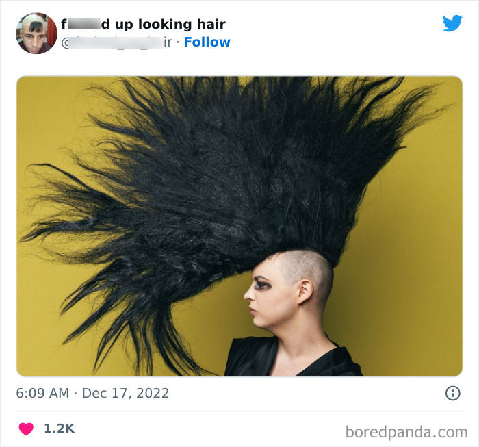 Funny-Weird-Haircuts