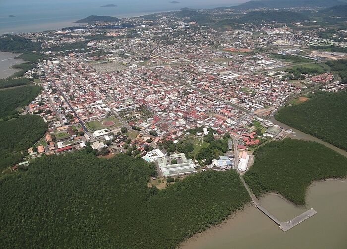 buildings and forests from the flight