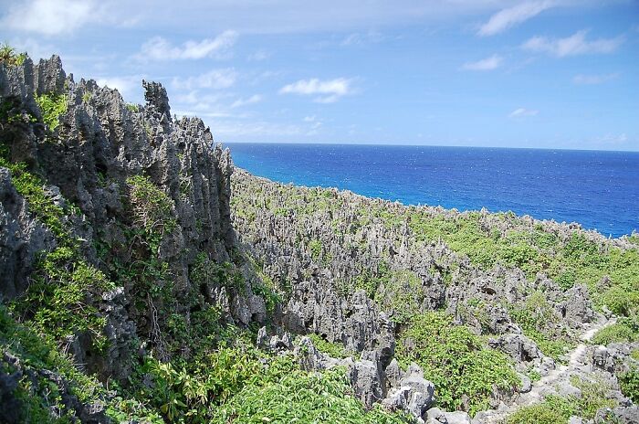 stone mountains with trees near the sea