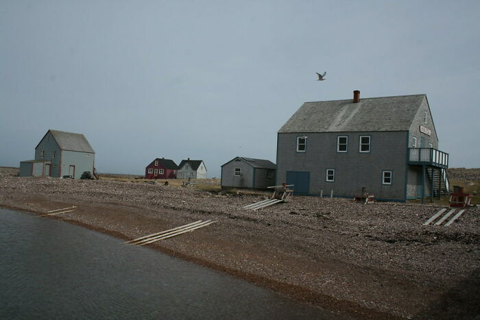 cottages in the field near the road