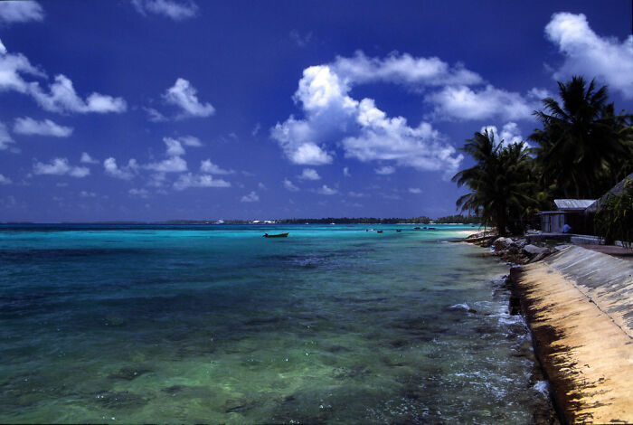 boat in the sea near the shore with palms