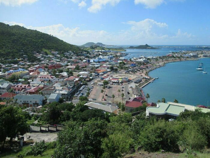 buildings, trees and sea from the height