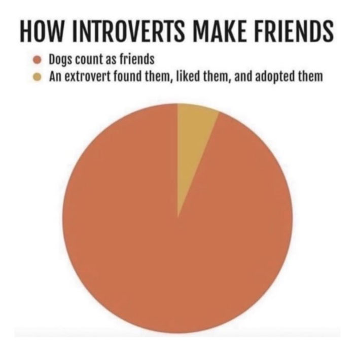 Introvert-Memes-By-Allabintroverts