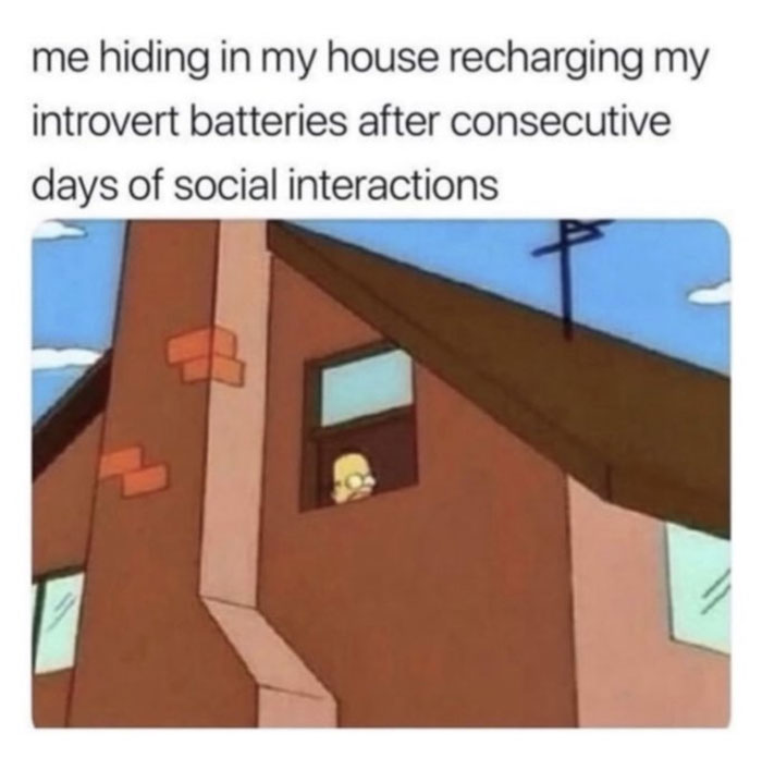 Introvert-Memes-By-Allabintroverts