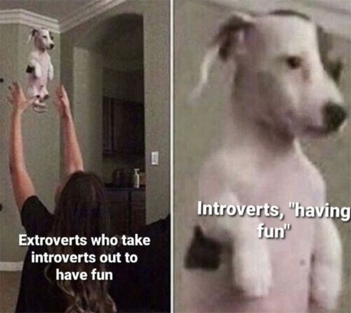 Introvert-Memes-By-Allabintroverts