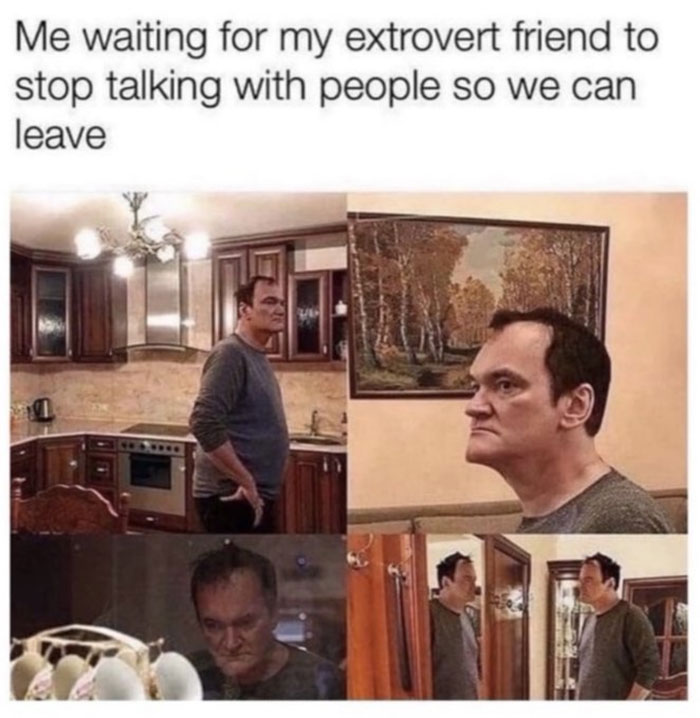 Introvert-Memes-By-Allabintroverts