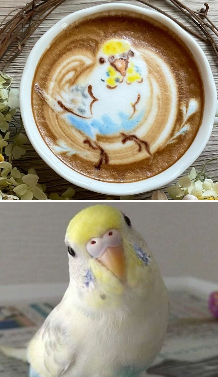 Cool Latte Art