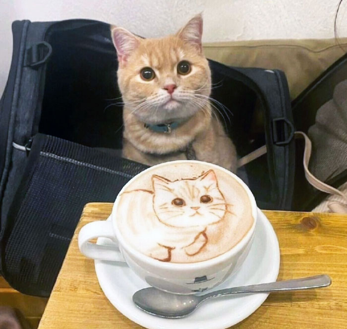 Cool Latte Art