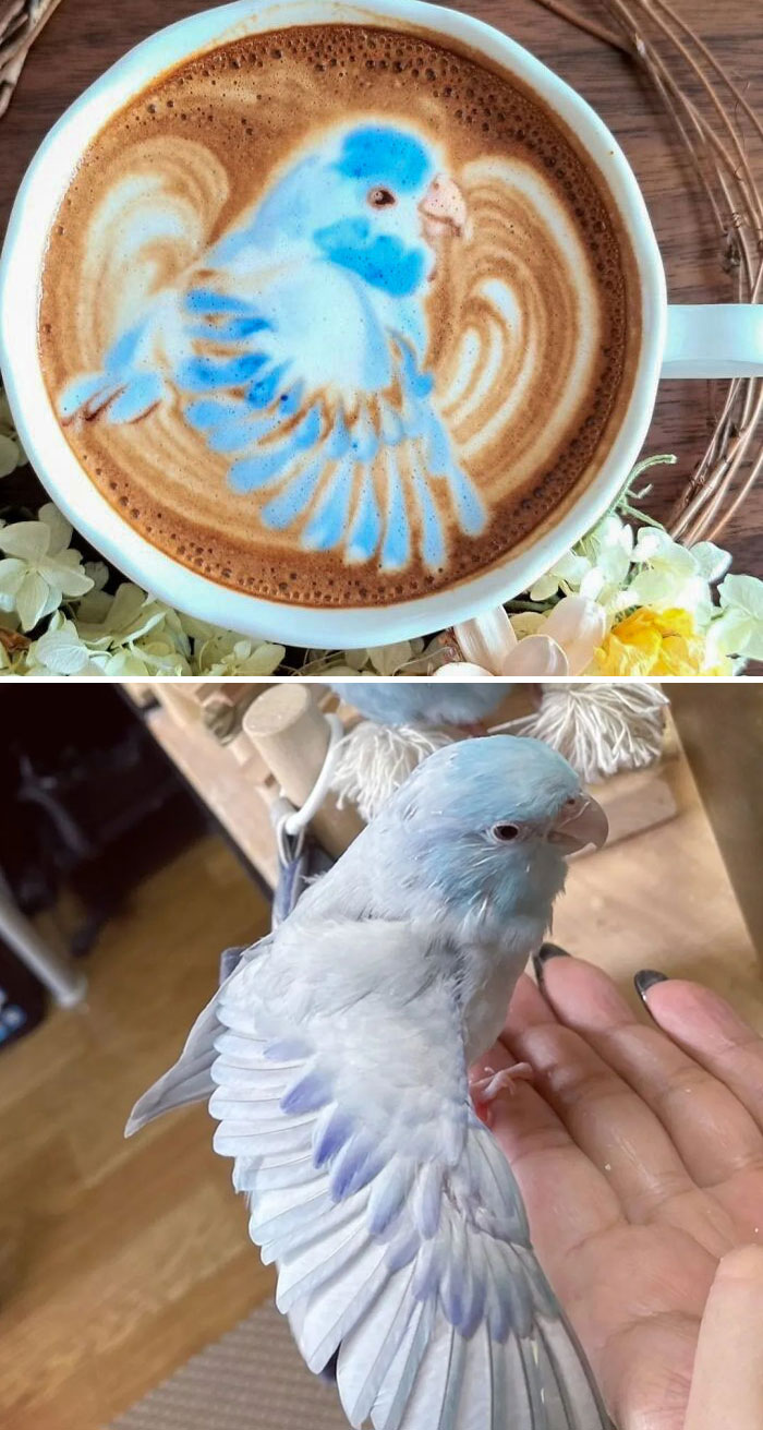 Cool Latte Art