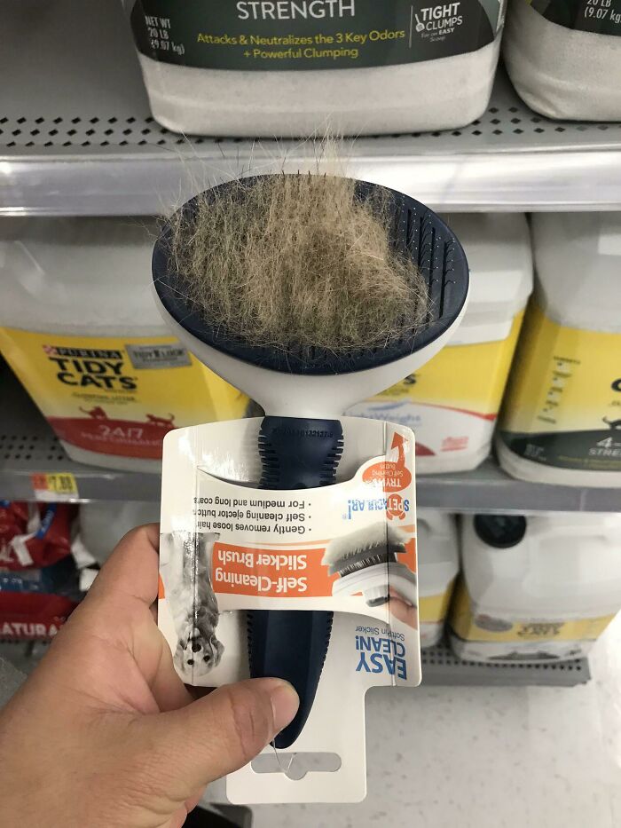 Self-cleaning pet brush filled with fur in store, illustrating lazy-infuriating-people habits.