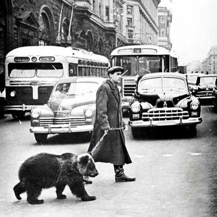 Man walking a bear on a busy city street, historical photo capturing urban life dynamics.