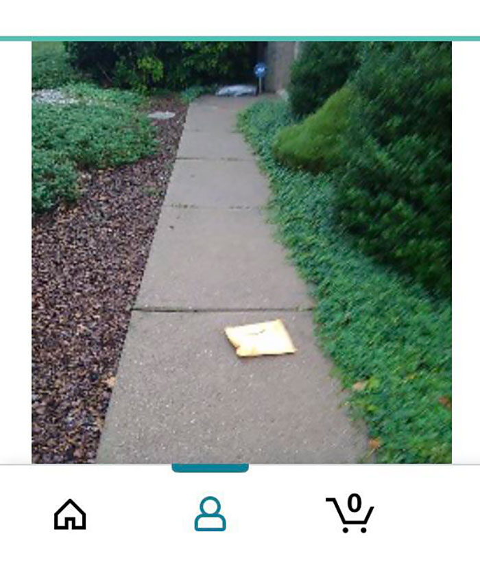 Package left on a sidewalk, surrounded by greenery, illustrating lazy-infuriating-people behavior in delivery service.