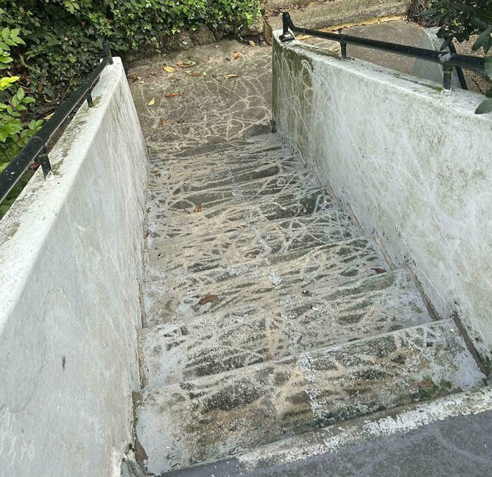 Moss-covered steps with uneven cleaning patterns, illustrating lazy-infuriating-people theme.