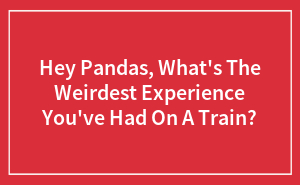 Hey Pandas, What's The Weirdest Experience You've Had On A Train?