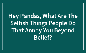 Hey Pandas, What Are The Selfish Things People Do That Annoy You Beyond Belief?