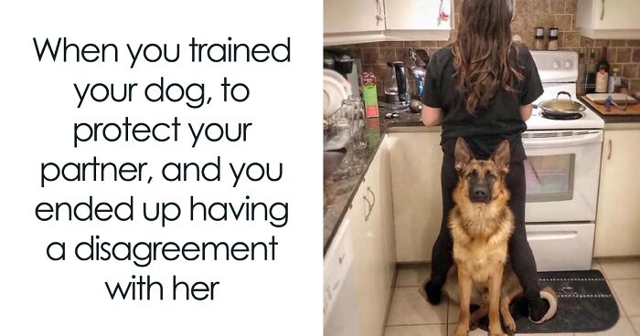 50 Funny Dog Memes For Anyone Who Has A Dog