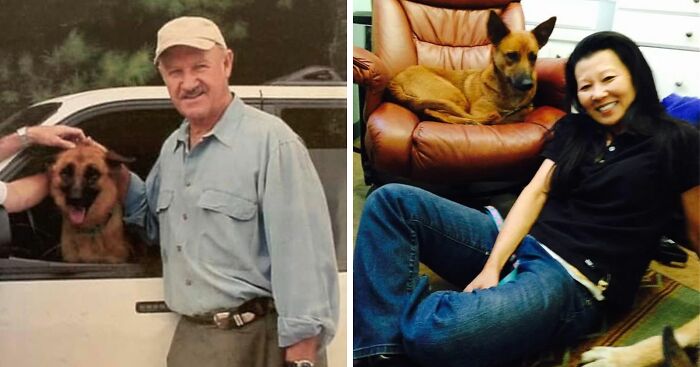 Gene Hackman’s Investigators Reveal Why His Dog Zinna Passed While Two Others Survived