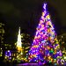 Christmas tree in Boston Common