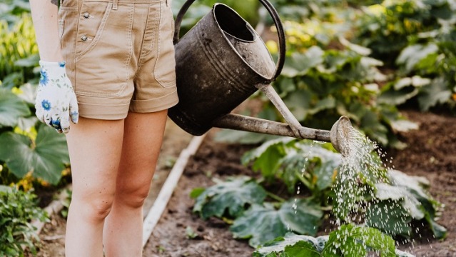 Gardening Mistakes to Avoid