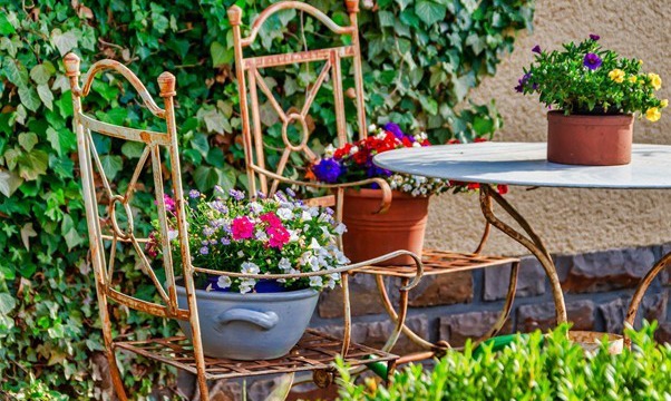 Best Flower Bulbs for the Patio