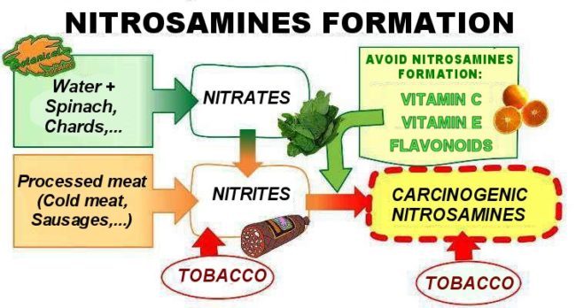 Scheme of foods rich in nitrates, nitrites and nitrosamines