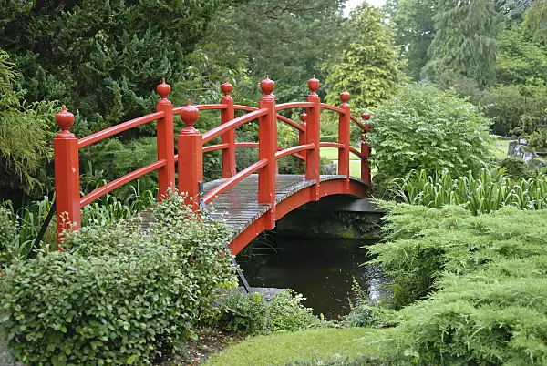 471365 - Red vaulted wooden bridge over a stream in a Japanese garden