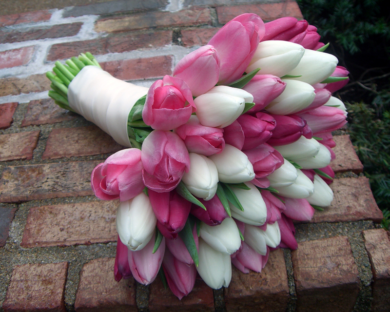 Tulips in Pink and White - Bouquet Wedding Flower