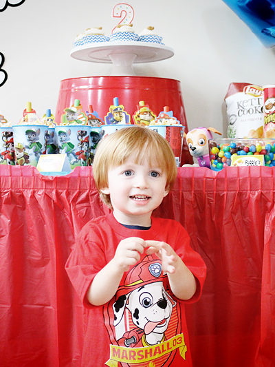 LJ’s Paw Patrol Birthday Party