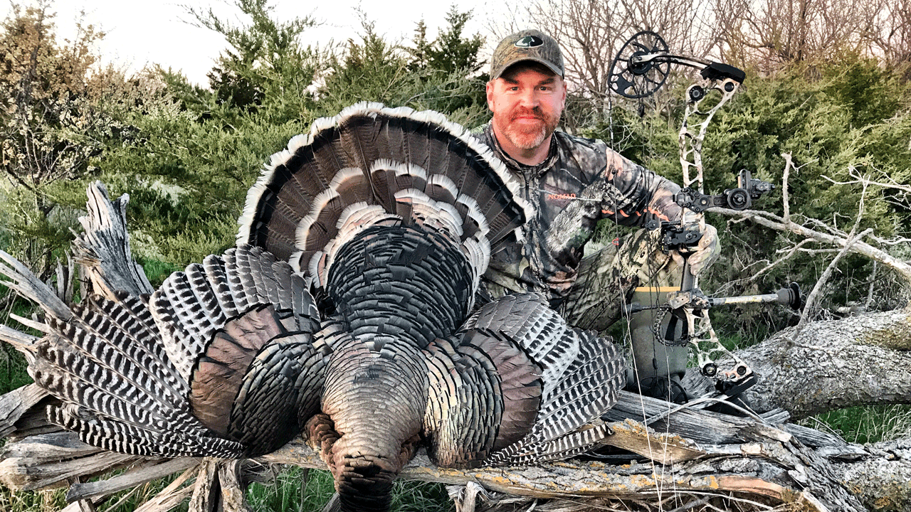 5 Best States to Kill a Turkey with a Bow | Bowhunting.com