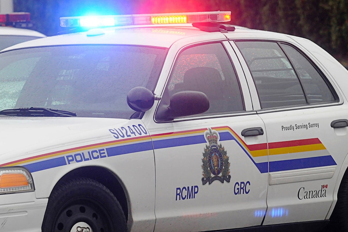 1 dead in highway crash east of Salmon Arm, RCMP looking for witnesses ...