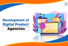 Development of Digital Product Agencies