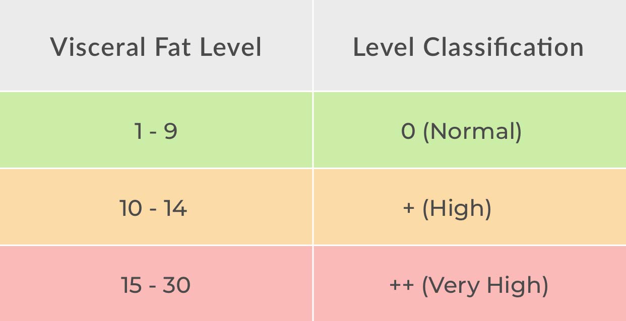 What is Visceral Fat and How to Get Rid of it? - Breathe Well-Being